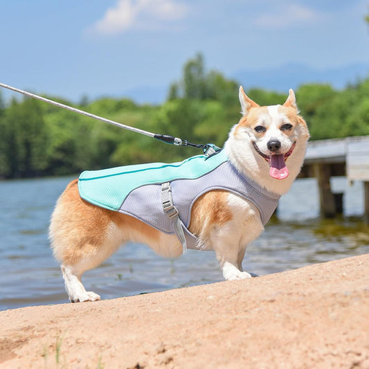 Pawly™ CoolVest