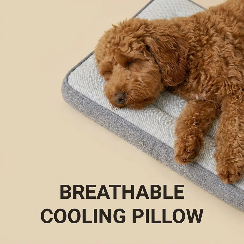 Pawly™ ChillPillow